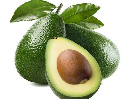 Nurturing Global Palates With Fresh Avocado Exporters And Suppliers