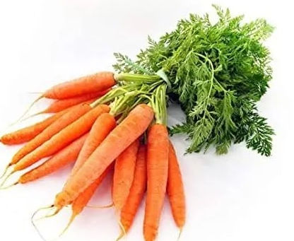 Say Yes To Crunchy Delight With Carrot Suppliers